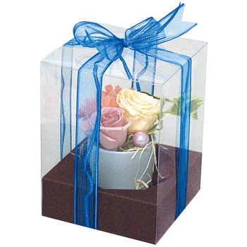 F-300D �N���A�t�����[BOX �_�[�N�u���E����� ���}�j�p�b�P�[�W 65396434