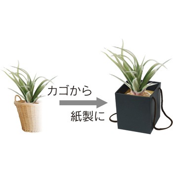 スクエアBOX ヤマニパッケージ