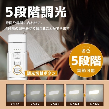 ブックライト 読書灯 クリップ固定 USB充電式 トライメイト