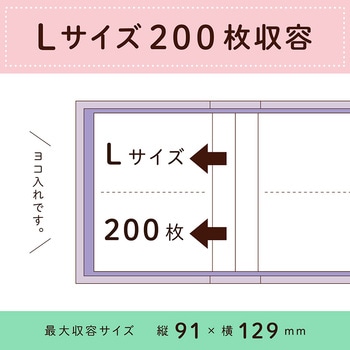 フレームアルバム セキセイ