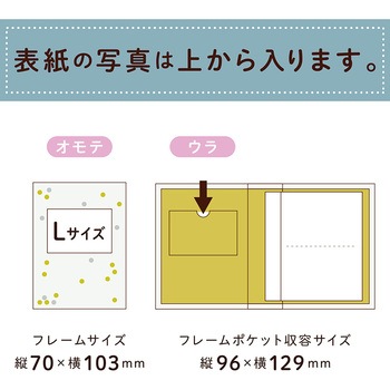 フレームアルバム セキセイ