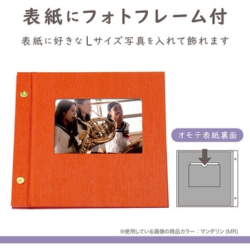 ライトフリーアルバムフレーム セキセイ