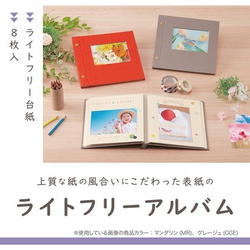 ライトフリーアルバムフレーム セキセイ