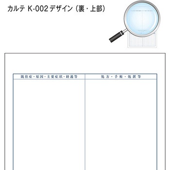 カルテ用紙 1号(診療録) 国保 金鵄製作所