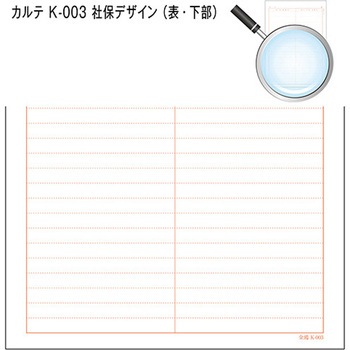 カルテ用紙 2号 社保 会計なし 金鵄製作所