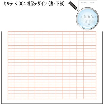 カルテ用紙 3号 社保 会計付き 金鵄製作所