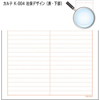 カルテ用紙 3号 社保 会計付き 金鵄製作所