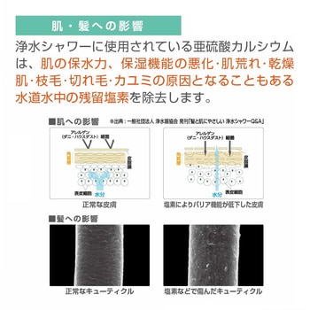 浄水ファインバルブシャワーセット SANEI