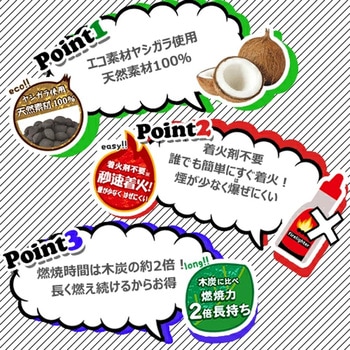 エコロン炭(タン)2kg ECOLONGTAN 平城商事