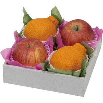 フルーツギフト ヤマニパッケージ
