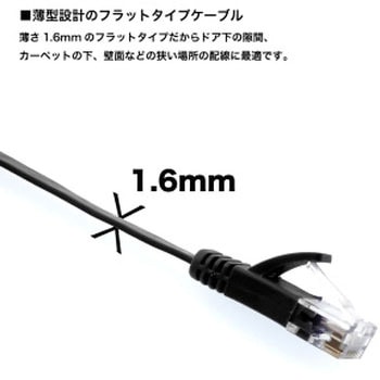 LANケーブル UTP カテゴリー6A フラット ホーリック
