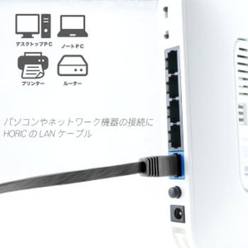 LANケーブル UTP カテゴリー6A フラット ホーリック
