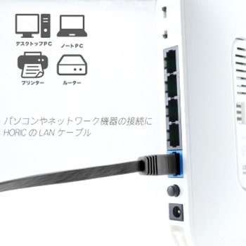 LANケーブル UTP カテゴリー6A フラット ホーリック
