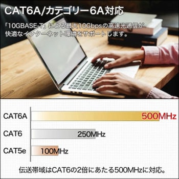 LANケーブル UTP カテゴリー6A フラット ホーリック