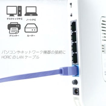 LANケーブル UTP カテゴリー6A フラット ホーリック