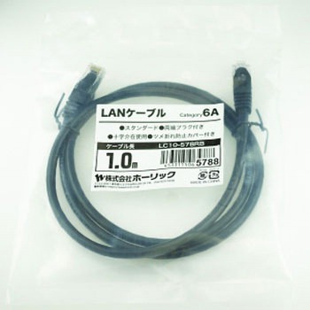 LANケーブル UTP カテゴリー6A ホーリック