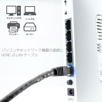 LANケーブル UTP カテゴリー6A ホーリック