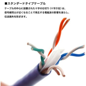 LANケーブル UTP カテゴリー6A ホーリック
