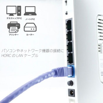 LANケーブル UTP カテゴリー6A ホーリック