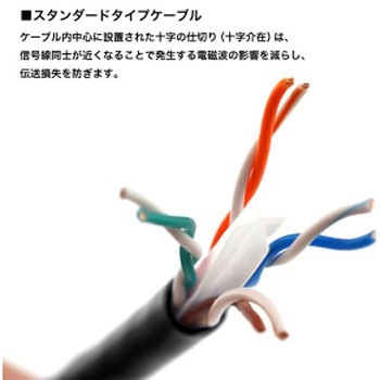 LANケーブル UTP カテゴリー6A ホーリック