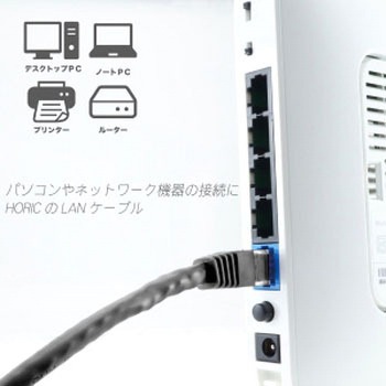 LANケーブル UTP カテゴリー6A ホーリック