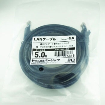 LANケーブル UTP カテゴリー6A ホーリック
