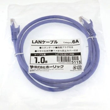 LANケーブル UTP カテゴリー6A ホーリック