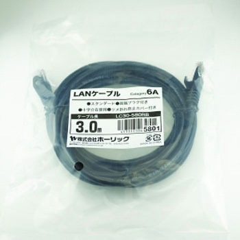 LANケーブル UTP カテゴリー6A ホーリック