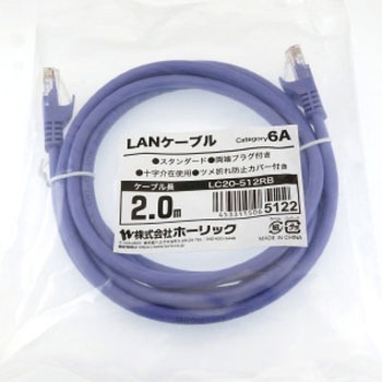 LANケーブル UTP カテゴリー6A ホーリック