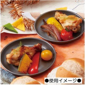 アルミ製プレートLIVENATURE スケーター
