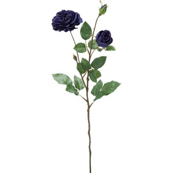 FA -7060 �I�[���h���[�Y�X�v���[ ���l�f�B�X�v���C�~���[�W�A�� 65463564