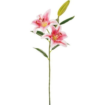 FA -7283 カサブランカ*2 横浜ディスプレイミュージアム 65464264