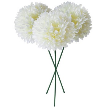 FB -2586 ピンポンマムピック 横浜ディスプレイミュージアム 65466635