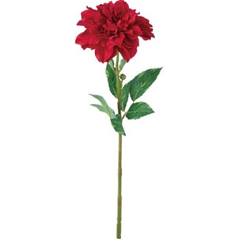 FD -0100 VO_A lfBXvC~[WA 65467457