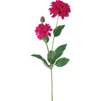 FD -0101 �_���A�X�v���[ ���l�f�B�X�v���C�~���[�W�A�� 65467484