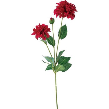 FD -0101 �_���A�X�v���[ ���l�f�B�X�v���C�~���[�W�A�� 65467518