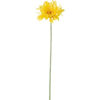 FD -0120 �p�X�^�V���O���K�[�x�� ���l�f�B�X�v���C�~���[�W�A�� 65467843