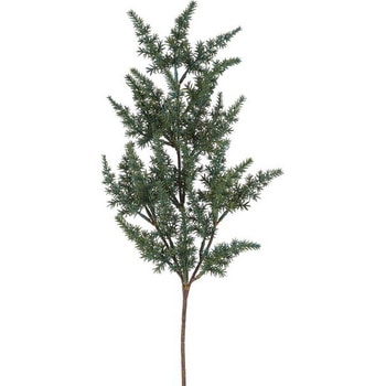 ジュニパースプレー 横浜ディスプレイミュージアム