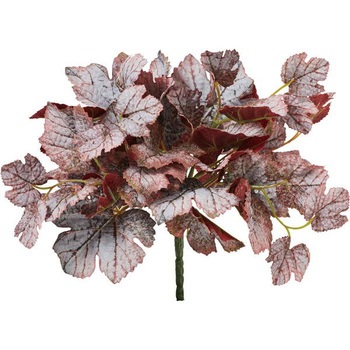 GL -5263 �J���[�q���[�P���u�b�V�� ���l�f�B�X�v���C�~���[�W�A�� 65470187