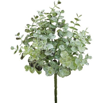 GL -5264 [JubV lfBXvC~[WA 65470214