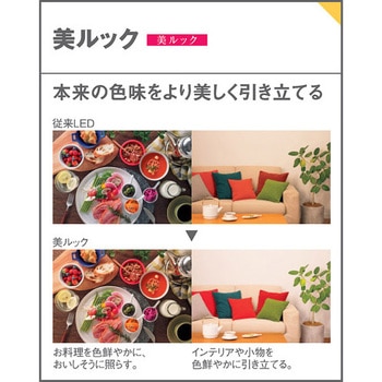 天井埋込型 LED ダウンライト 美ルック 浅型7H 高気密SB形 Panasonic(パナソニック)