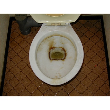 トイレ職人レギュラー詰替えパック 允・セサミ