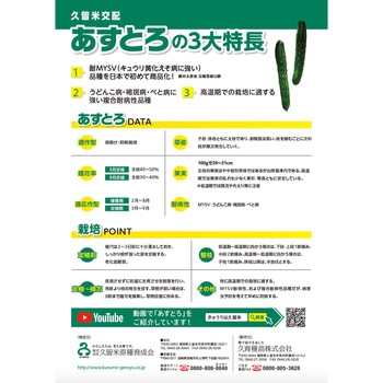 あすとろ 久留米原種育成会
