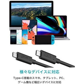 CIO PD 100W Type-C to Type-C ケーブル ホワイト CIO