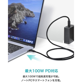 CIO PD 100W Type-C to Type-C ケーブル ホワイト CIO