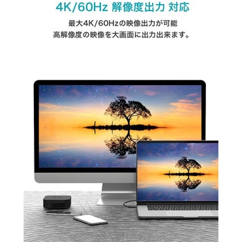 CIO PD 100W Type-C to Type-C ケーブル ブラック CIO