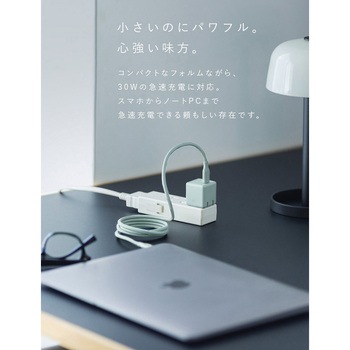 CIO Mate Charger 002 30W1C エアリーパープル CIO