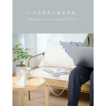 CIO Mate Charger 004 65W1C1A エアリーパープル CIO