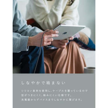 シリコンケーブル CtoC 2m エアリーパープル CIO