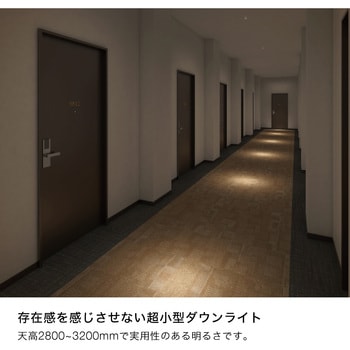 MPD02-27K-24D-B マイクロピンホールダウンライト 1台 TOKISTAR 【通販